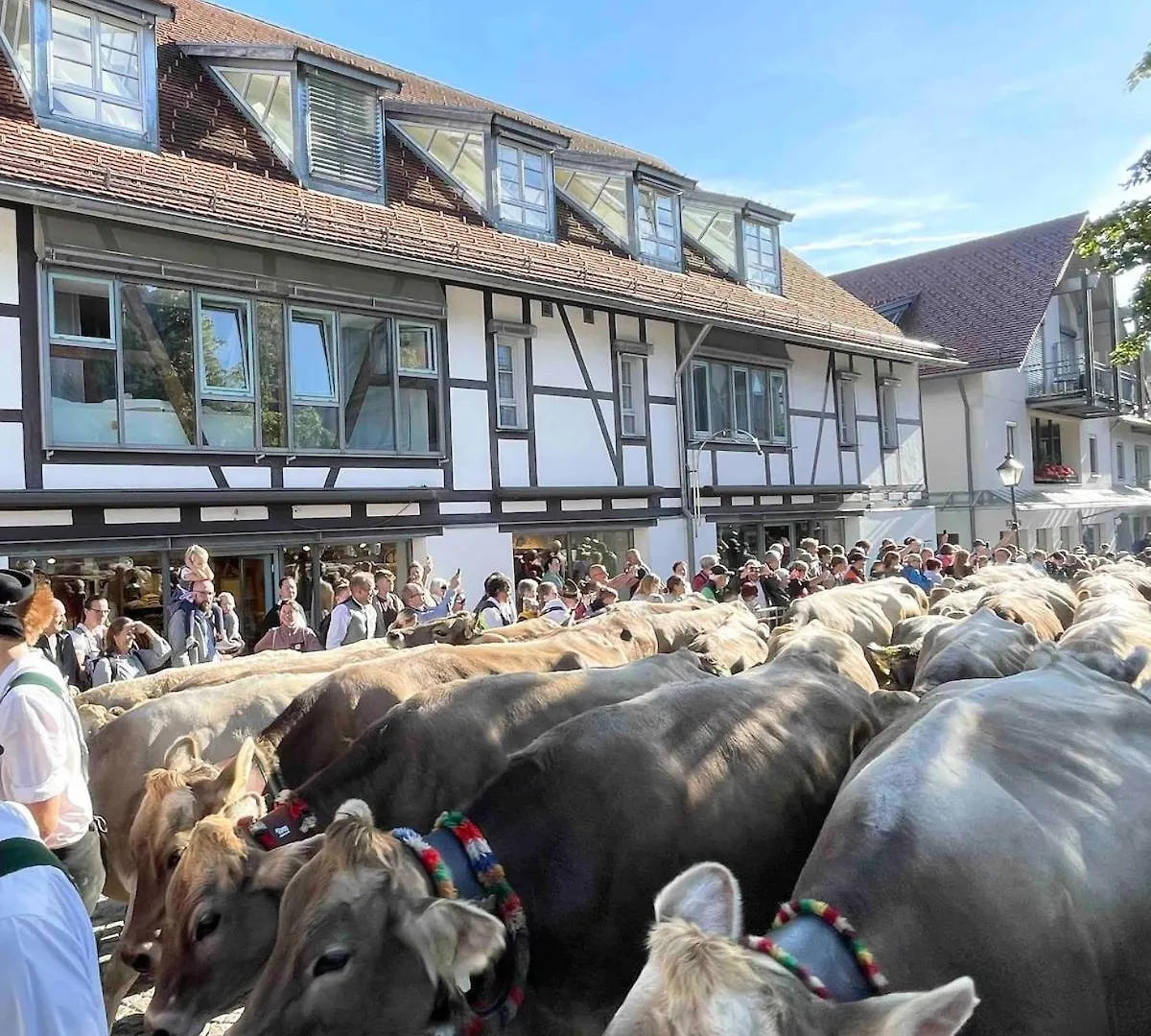 Bergblick-Lounge Zentral In Immenstadt Immenstadt im Allgäu