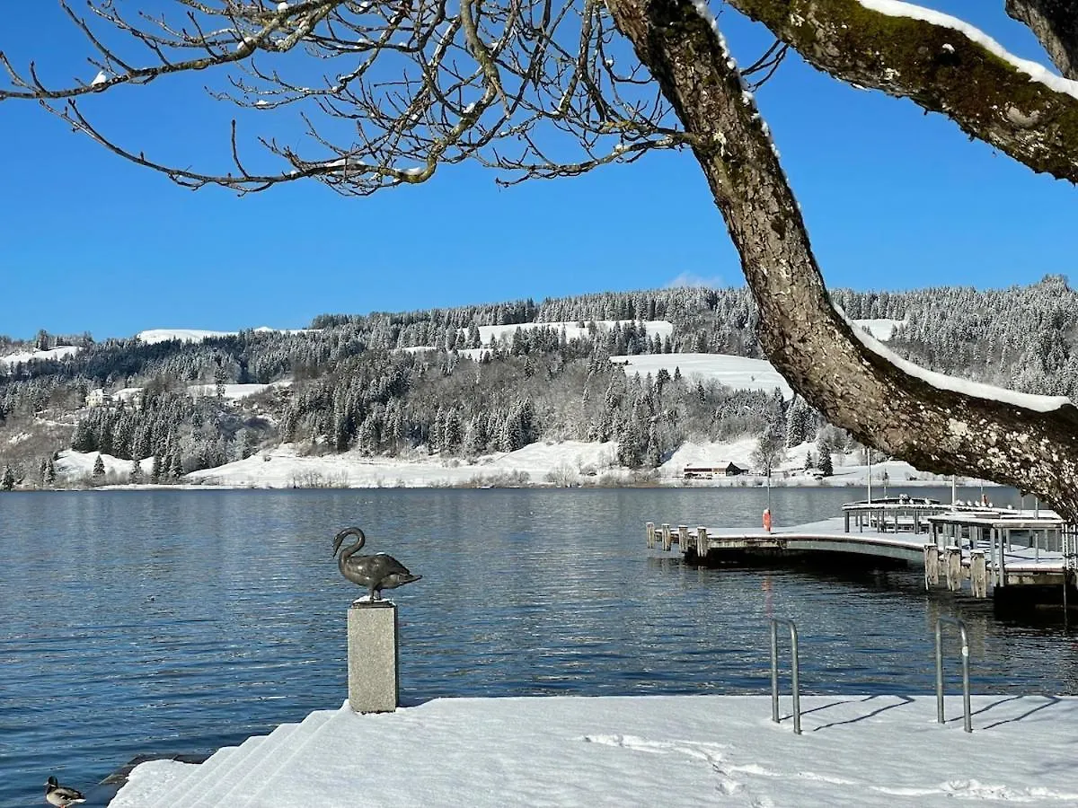 Bergblick-Lounge Zentral In Immenstadt Immenstadt im Allgäu 0*,